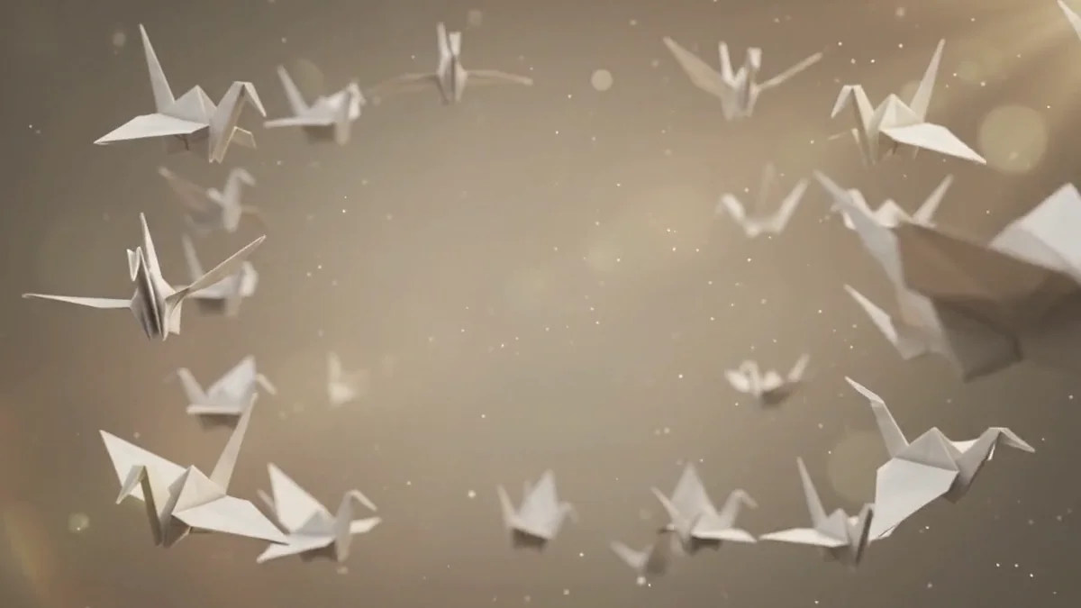 Paper Cinema video preview